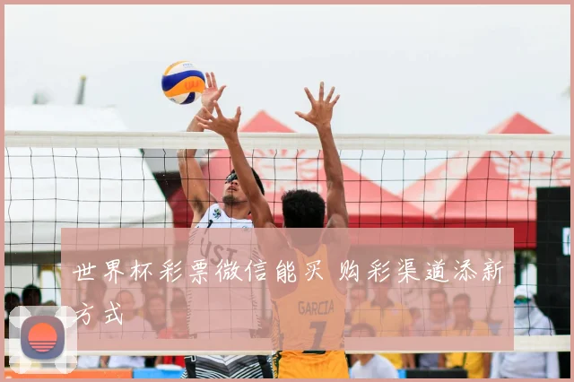 世界杯彩票微信能买 购彩渠道添新方式