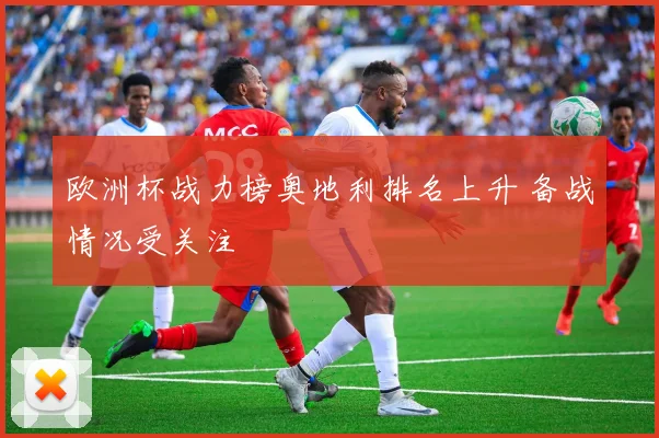 欧洲杯战力榜奥地利排名上升 备战情况受关注