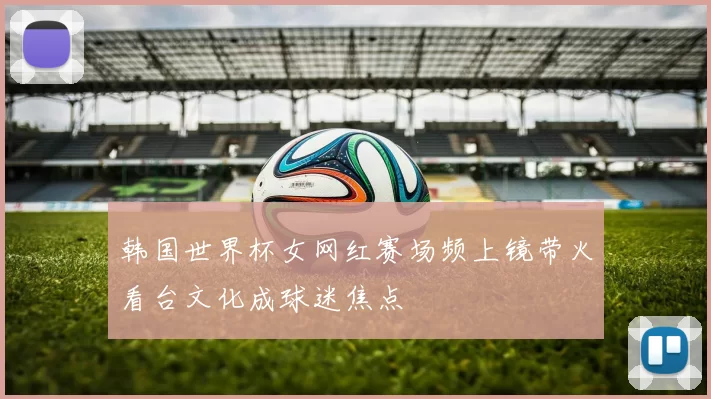 韩国世界杯女网红赛场频上镜带火看台文化成球迷焦点